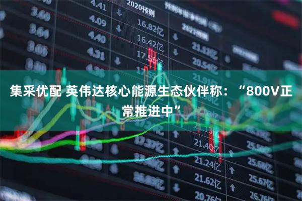 集采优配 英伟达核心能源生态伙伴称：“800V正常推进中”
